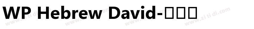 WP Hebrew David字体转换